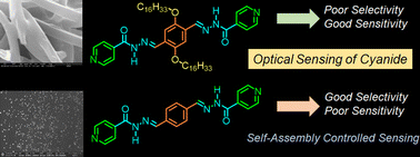 Graphical abstract: Selective sensing of cyanide ions: impact of molecular design and assembly on the response of π-conjugated acylhydrazone compounds