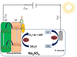 Graphical abstract: Enhanced solar-driven photoelectrochemical water splitting using nanoflower Au/CuO/GaN hybrid photoanodes