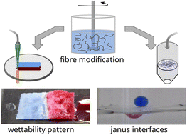 Graphical abstract: Single-fibre coating and additive manufacturing of multifunctional papers