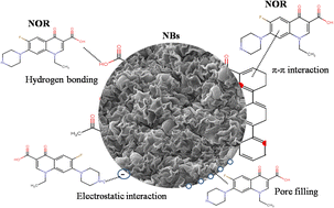 Graphical abstract: Adsorptive removal of norfloxacin from aqueous solutions by Fe/Cu CNS-embedded alginate–carboxymethyl cellulose–chitosan beads