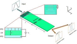 Graphical abstract: Electrically tunable on-chip quantum Deutsch–Jozsa algorithm with lithium niobate metasurfaces