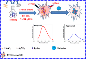 Graphical abstract: Enhanced fluorometric detection of histamine using red emissive amino acid-functionalized bimetallic nanoclusters