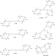 Graphical abstract: Core-size and geometry versus toxicity in small amino terminated PAMAM dendrimers