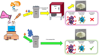 Graphical abstract: Hydrothermally synthesized biofunctional ceria nanoparticles using orange peel extract: optimization, characterization, and antibacterial and antioxidant properties