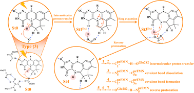 Graphical abstract: Mechanisms of photoisomerization of the prenylated flavin mononucleotide cofactor: a theoretical study