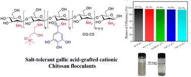 Graphical abstract: The preparation of gallic acid-grafted cationic chitosan as effective salt-tolerant flocculants