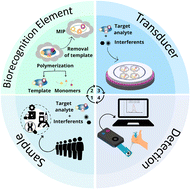 Graphical abstract: An electrochemically synthesized molecularly imprinted polymer for highly selective detection of breast cancer biomarker CA 15-3: a promising point-of-care biosensor