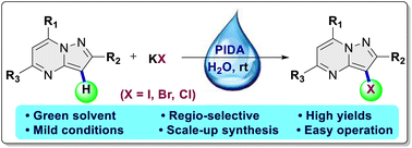 Graphical abstract: Regioselective C(sp2)–H halogenation of pyrazolo[1,5-a]pyrimidines facilitated by hypervalent iodine(iii) under aqueous and ambient conditions