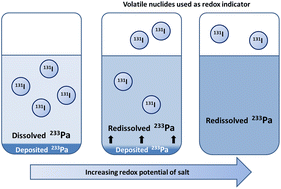 Graphical abstract: Control and surveillance of redox potential for 233Pa dissolution in 2LiF–BeF2 molten salt