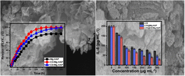 Graphical abstract: Characterization of chitosan- and β-cyclodextrin-modified forms of magnesium-doped hydroxyapatites as enhanced carriers for levofloxacin: loading, release, and anti-inflammatory properties