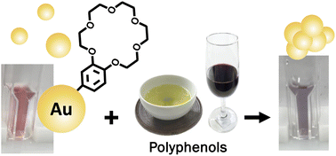 Graphical abstract: Structure-dependent detection of polyphenols using crown ether-immobilized gold nanoparticles