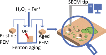 Graphical abstract: Scanning electrochemical microscopy for the differentiation of radical-induced degradation mechanisms in polymer electrolyte membranes