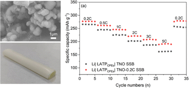 Graphical abstract: Enhancing the electrochemical properties of TiNb2O7 anodes with SP-CNT binary conductive agents for both liquid and solid state lithium ion batteries