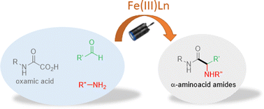 Graphical abstract: Visible light mediated iron-catalyzed addition of oxamic acids to imines