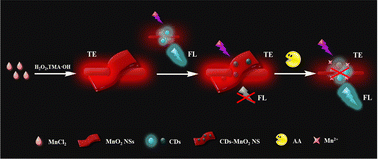 Graphical abstract: A dual-signal optical sensing platform of CDs–MnO2 NS composites for facile detection of ascorbic acid based on a combination of Tyndall effect scattering and fluorescence