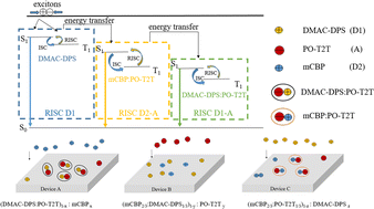 Graphical abstract: The influence of the doping concentration and reverse intersystem crossing on the efficiency of tricomponent organic light-emitting diodes with the thermally activated delayed fluorescence exciplex emitter