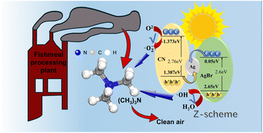 Graphical abstract: Ag/AgBr-oxygen enriched g-C3N4 for efficient photocatalytic degradation of trimethylamine