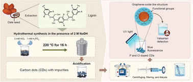 Graphical abstract: Hydrothermal synthesis of modified lignin-based carbon dots derived from biomass waste for fluorescence determination of valsartan