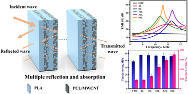 Graphical abstract: Excellent mechanical and electromagnetic interference shielding properties of polylactic acid/polycaprolactone/multiwalled carbon nanotube composites enabled by a multilayer structure design