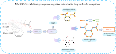 Graphical abstract: MMSSC-Net: multi-stage sequence cognitive networks for drug molecule recognition