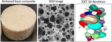 Graphical abstract: Structural features of biobased composite foams revealed by X-ray tomography