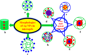 Graphical abstract: A review on Ag nanoparticles fabricated in microgels