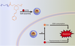 Graphical abstract: Facile synthesis of an acid-responsive cinnamaldehyde-pendant polycarbonate for enhancing the anticancer efficacy of etoposide via glutathione depletion