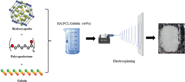 Graphical abstract: Fabrication and biocompatibility evaluation of hydroxyapatite–polycaprolactone–gelatin composite nanofibers as a bone scaffold