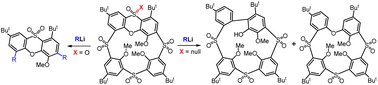 Graphical abstract: Reactivity of phenoxathiin-based thiacalixarenes towards C-nucleophiles