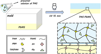 Graphical abstract: Smart hydrogel composite for microenvironmental humidity regulation in cigar storage