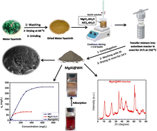 Graphical abstract: Hydrothermal synthesis of Mg/Al-layered double hydroxide modified water hyacinth hydrochar for remediation of wastewater containing mordant brown dye
