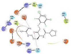 Graphical abstract: MedChemExpress compounds prevent neuraminidase N1 via physics- and knowledge-based methods