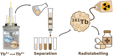 Graphical abstract: Separation of terbium as a first step towards high purity terbium-161 for medical applications