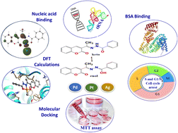 Graphical abstract: Palladium(ii), platinum(ii), and silver(i) complexes with 3-acetylcoumarin benzoylhydrazone Schiff base: Synthesis, characterization, biomolecular interactions, cytotoxic activity, and computational studies