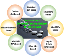 Graphical abstract: Captivating nano sensors for mercury detection: a promising approach for monitoring of toxic mercury in environmental samples