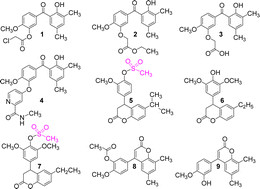 Graphical abstract: Synthesis and bioactivity investigation of benzophenone and its derivatives