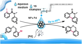 Graphical abstract: Palladium nanoparticles for the synthesis of phenanthridinones and benzo[c]chromenes via C–H activation reaction