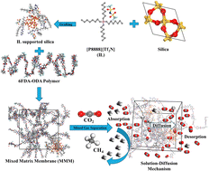 Graphical abstract: Molecular simulation of [P8883][Tf2N] ionic liquid decorated silica in 6FDA-ODA based mixed matrix membrane for enhanced CO2/CH4 separation