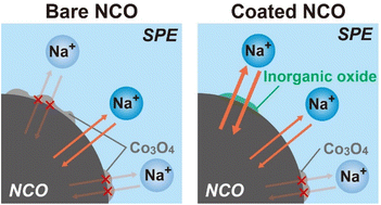 Graphical abstract: Interfacial modification of NaCoO2 positive electrodes with inorganic oxides by simple mixing and the effects on all-solid-state Na batteries