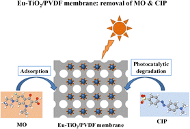 Graphical abstract: Efficient removal of methyl orange and ciprofloxacin by reusable Eu–TiO2/PVDF membranes with adsorption and photocatalysis methods