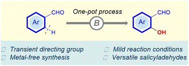 Graphical abstract: Boron-mediated one-pot access to salicylaldehydes via ortho-C–H hydroxylation of benzaldehydes