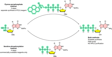 Graphical abstract: Improved synthesis and polymerase recognition of 7-deaza-7-modified α-l-threofuranosyl guanosine analogs