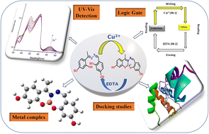 Graphical abstract: An innovative Schiff-base colorimetric chemosensor for the selective detection of Cu2+ ions and its applications