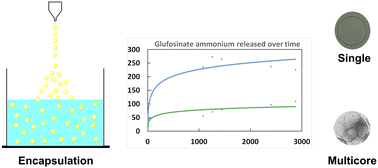 Graphical abstract: Fabrication of thermo-responsive multicore microcapsules using a facile extrusion process