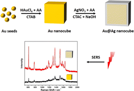 Graphical abstract: Synthesis of Au@Ag core–shell nanocubes with finely tuned shell thicknesses for surface-enhanced Raman spectroscopic detection