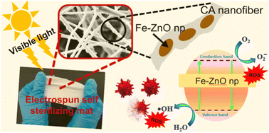 Graphical abstract: Preparation and characterization of Fe–ZnO cellulose-based nanofiber mats with self-sterilizing photocatalytic activity to enhance antibacterial applications under visible light
