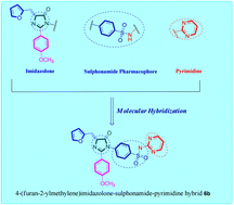 Graphical abstract: Synthesis and biological research of new imidazolone-sulphonamide-pyrimidine hybrids as potential EGFR-TK inhibitors and apoptosis-inducing agents