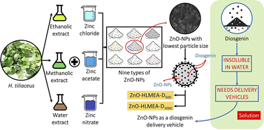 Graphical abstract: Phytofabricated ZnO-NPs mediated by Hibiscus tiliaceus leaf extract and its potential as a diosgenin delivery vehicle