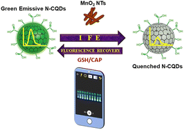 Graphical abstract: Inner-filter effect of nitrogen-doped carbon quantum dots–MnO2 nanotubes for smartphone-integrated dual-mode sensing of glutathione and captopril