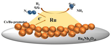 Graphical abstract: Enhancement of the ammonia synthesis activity of a Cs- or Ba-promoted ruthenium catalyst supported on barium niobate